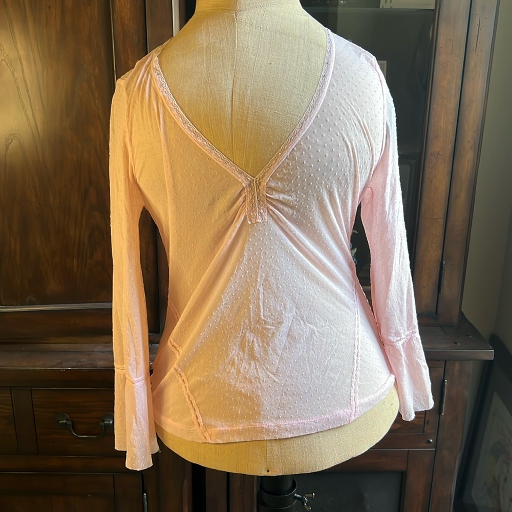 The limited sheer blouse size large